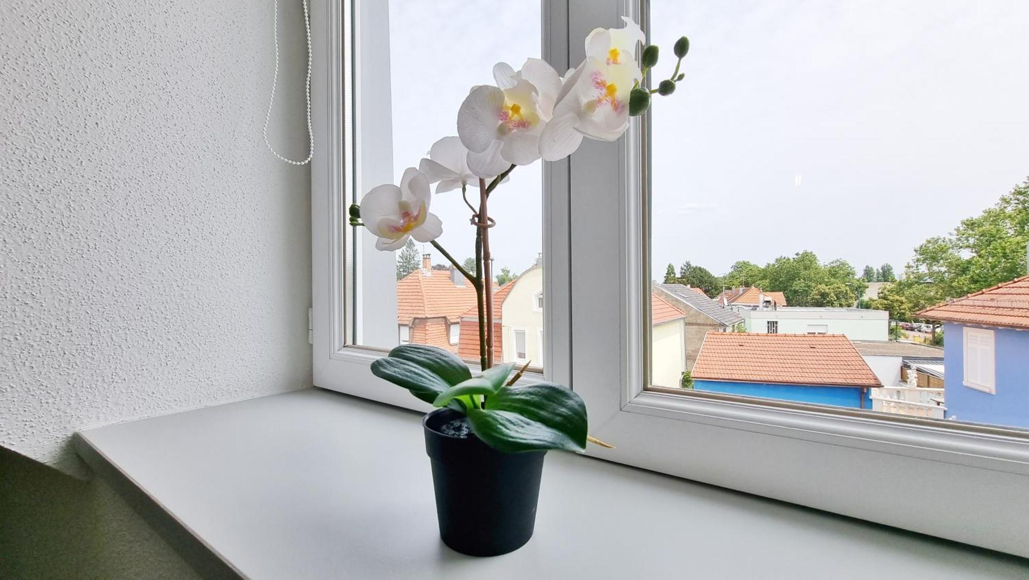 Le Triplex - 5 Chambres - 10 Pers- Fibre - Relax Bnb 뮐루즈 외부 사진